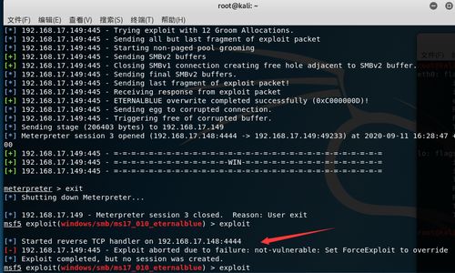 Kali Linux系統(tǒng)下防御永恒之藍(lán)勒索病毒實(shí)戰(zhàn)指南 網(wǎng)絡(luò)安全工程師的技術(shù)服務(wù)詳解